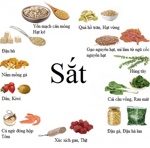 be1bb9520sung20thc3aam20cc3a1c20loe1baa1i20the1bbb1c20phe1baa9m20che1bba9a20nhie1bb81u20se1baaft Bổ%20sung%20thêm%20các%20loại%20thực%20phẩm%20chứa%20nhiều%20sắt.jpg