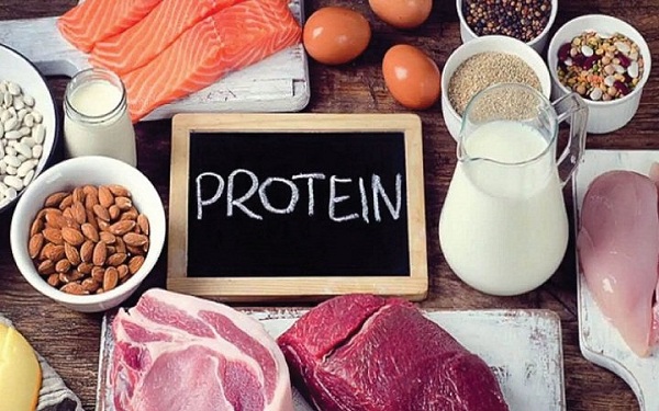 Chế độ ăn vừa đủ protein giúp chống lão hóa da Chế độ ăn vừa đủ protein giúp chống lão hóa da