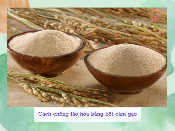Cách chăm sóc da lão hóa bằng bột cám gạo Cách chăm sóc da lão hóa bằng bột cám gạo