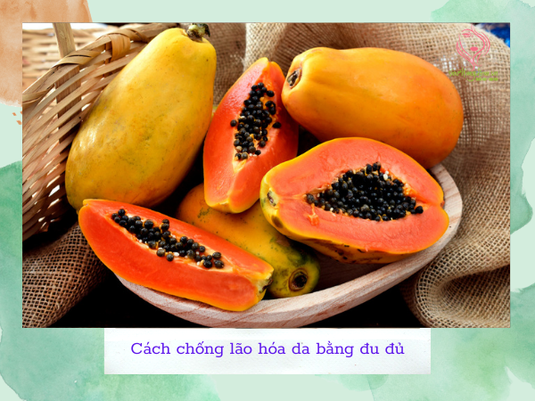 Chống lão hóa da bằng đu đủ Chống lão hóa da bằng đu đủ