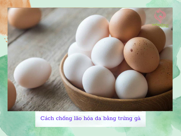 Chống lão hóa da bằng trứng gà Chống lão hóa da bằng trứng gà