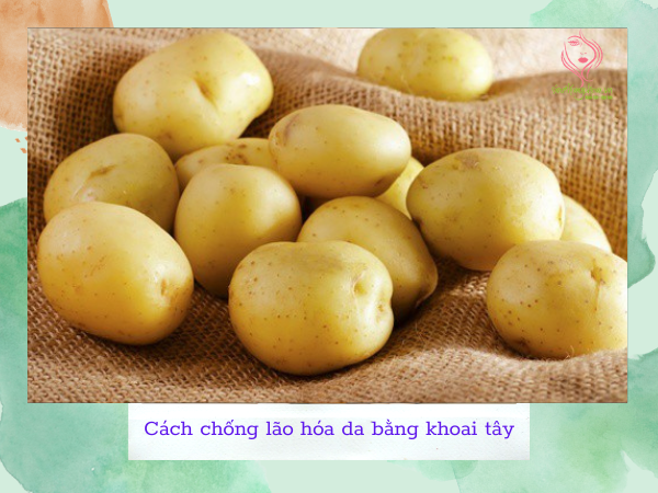 Chống lão hóa da bằng khoai tây Chống lão hóa da bằng khoai tây