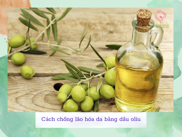 Cách chống lão hóa da mặt bằng dầu oliu Cách chống lão hóa da mặt bằng dầu oliu