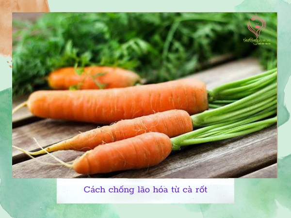 Cách chống lão hóa từ cà rốt Cách chống lão hóa từ cà rốt