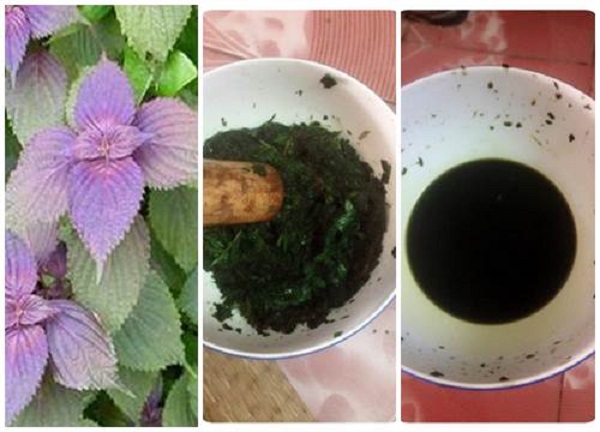 cach-tri-mun-cam-hieu-qua-bang-la-tia-to cach-tri-mun-cam-hieu-qua-bang-la-tia-to.jpg