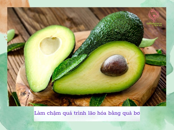 Làm chậm quá trình lão hóa da bằng quả bơ Làm chậm quá trình lão hóa da bằng quả bơ