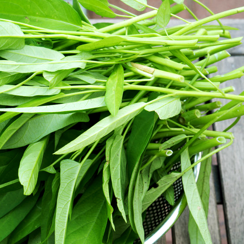 se1bab9o20le1bb93i20kic3aang20c483n20gc3ac20-20rau20mue1bb91ng sẹo%20lồi%20kiêng%20ăn%20gì%20-%20Rau%20muống.jpg