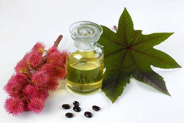 tri-mun-bang-dau-thau-dau-1-1 tri-mun-bang-dau-thau-dau-1.jpg