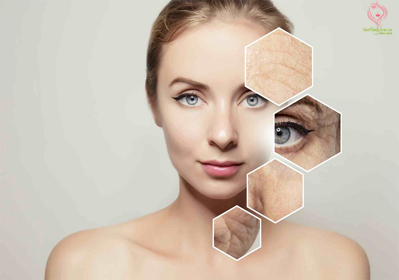 Xác định từng vùng lão hóa da Xác định từng vùng lão hóa da