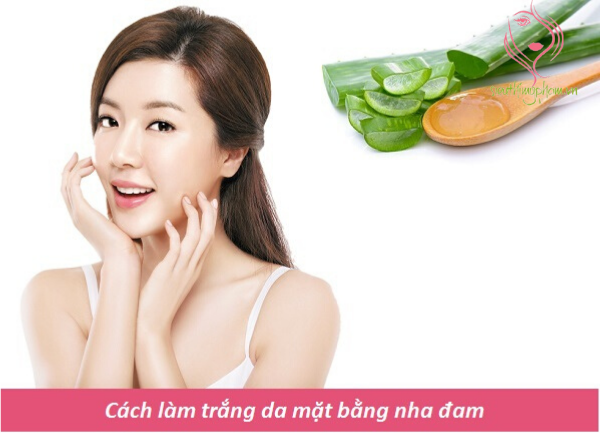 Cách làm trắng da mặt bằng nha đam Cách làm trắng da mặt bằng nha đam