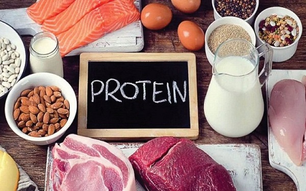 Chế độ ăn vừa đủ protein giúp chống lão hóa da