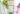 bo-my-pham-uriage-tri-nam-7.jpg