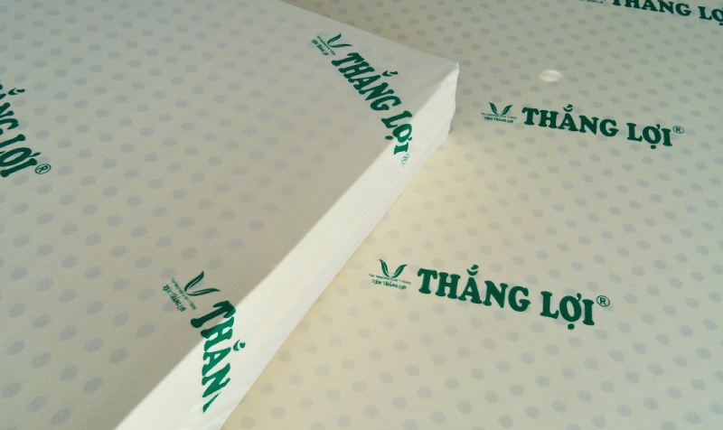 cac-tinh-nang-noi-bat-cua-nem-thang-loi.jpg