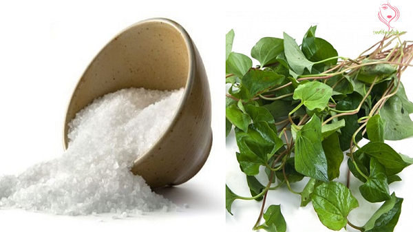 Cách trị mụn bằng rau diếp cá và muối biển