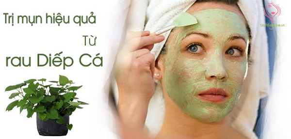 Cách trị mụn bằng rau diếp cá