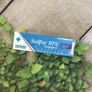 Crevil Sulfur 10% Ointment - Kem đặc trị mụn