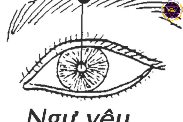 da-mat-san-sui-kho-rap-3.png