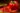 ot-chuong-do-lam-dep-da.jpg