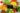 thuc-pham-giau-vitamin-c.jpg