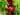 thuc-pham-lam-dep-da-6.jpg