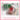 vien-uong-trang-da-premium-max-white-genie-han-quoc.jpg