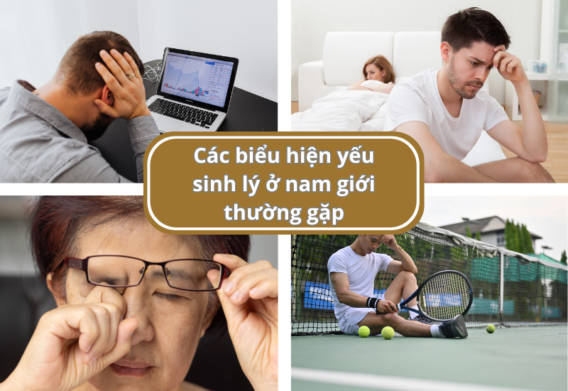 Các biểu hiện yếu sinh lý ở nam giới thường gặp